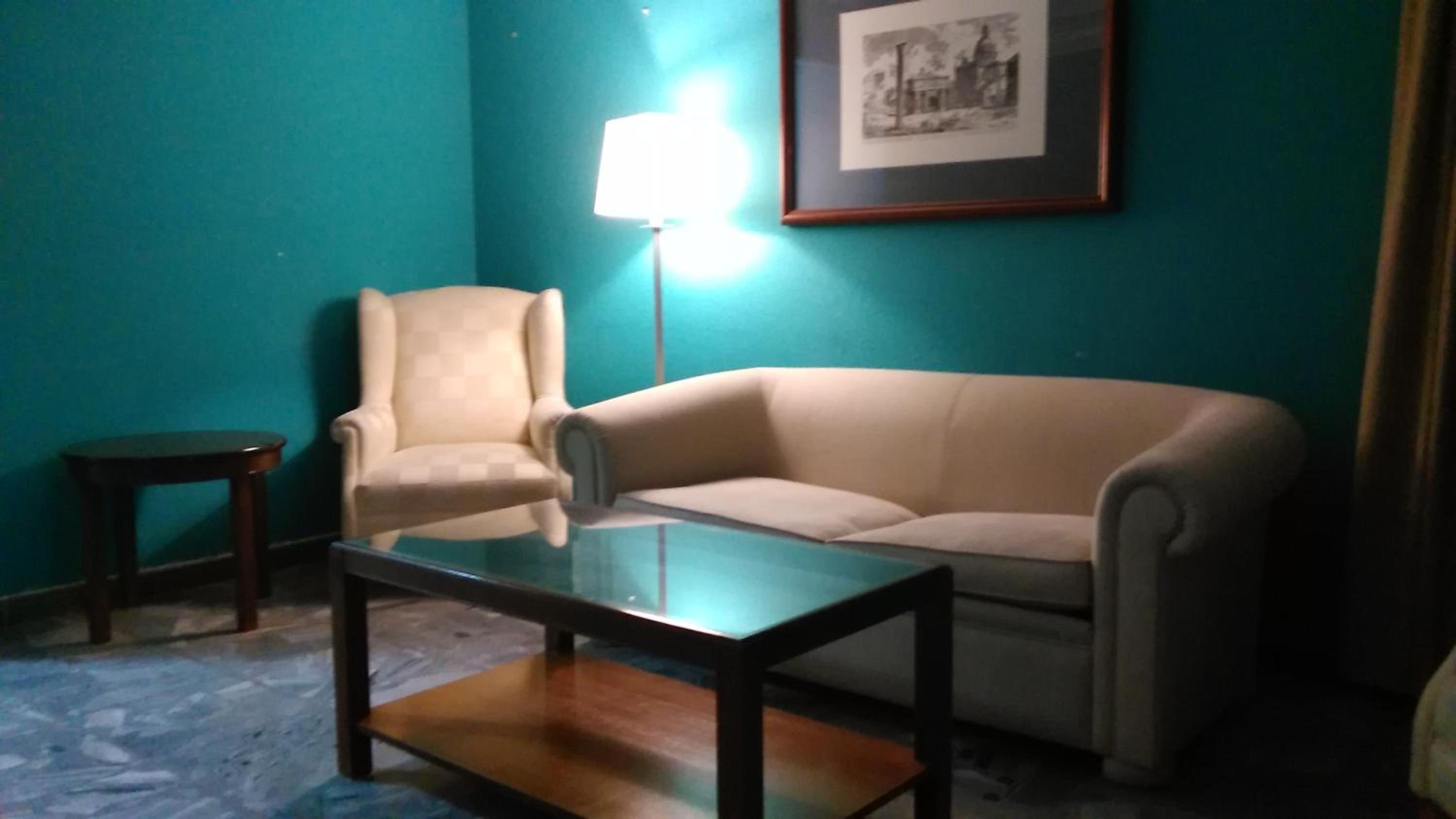 Hotel Nuevo Ara 30/49
