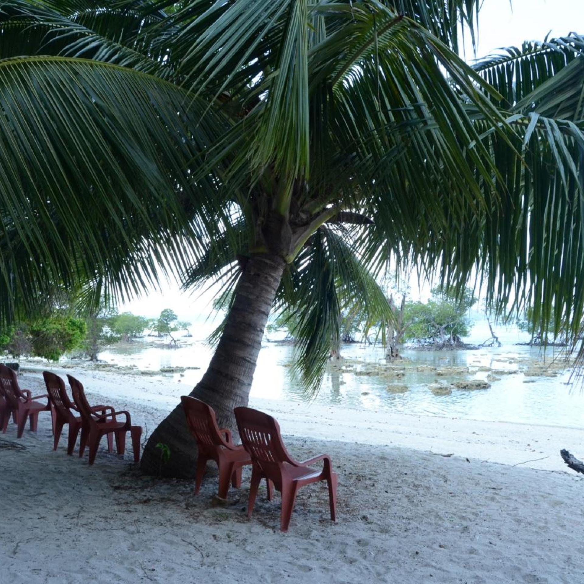 Coconhuts Beach Resort-Neil Island 35/49