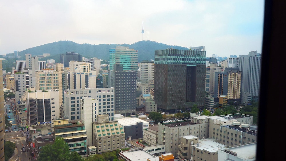 HOTEL SKYPARK KINGSTOWN DONGDAEMUN 71/73