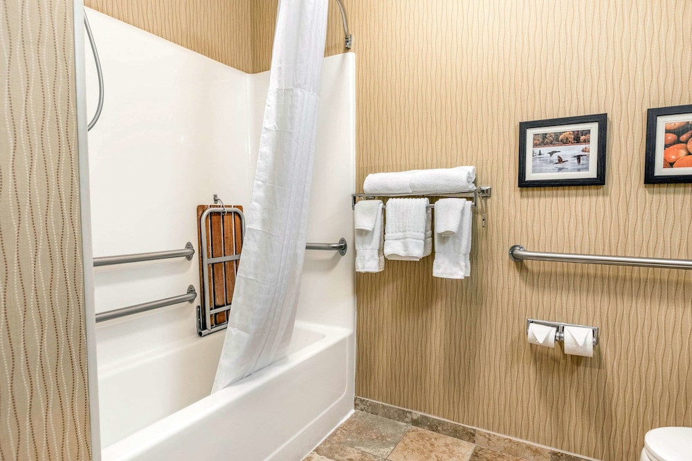 Comfort Inn Wings Stadium 19/29