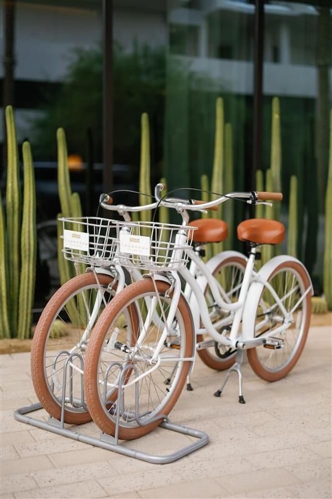 Thompson Palm Springs By Hyatt 40/48