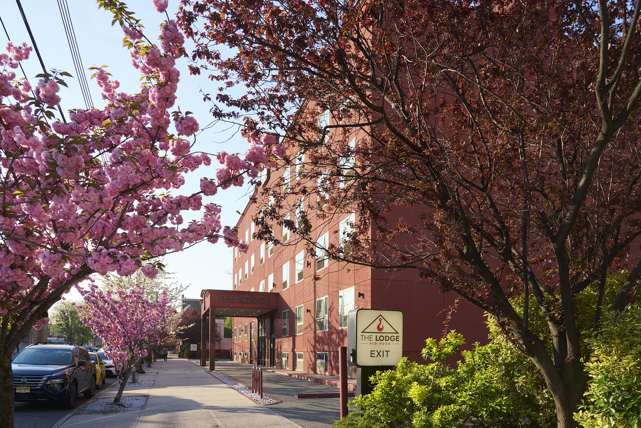 The Lodge Red Hook 38/50