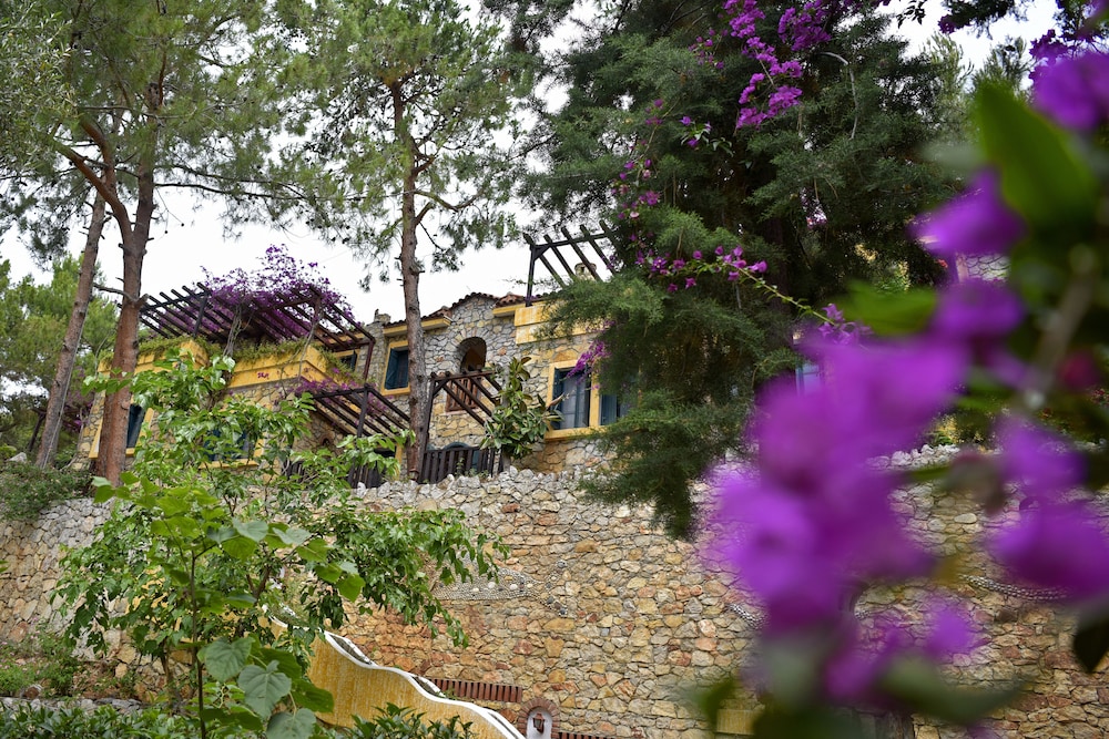 surroundings
