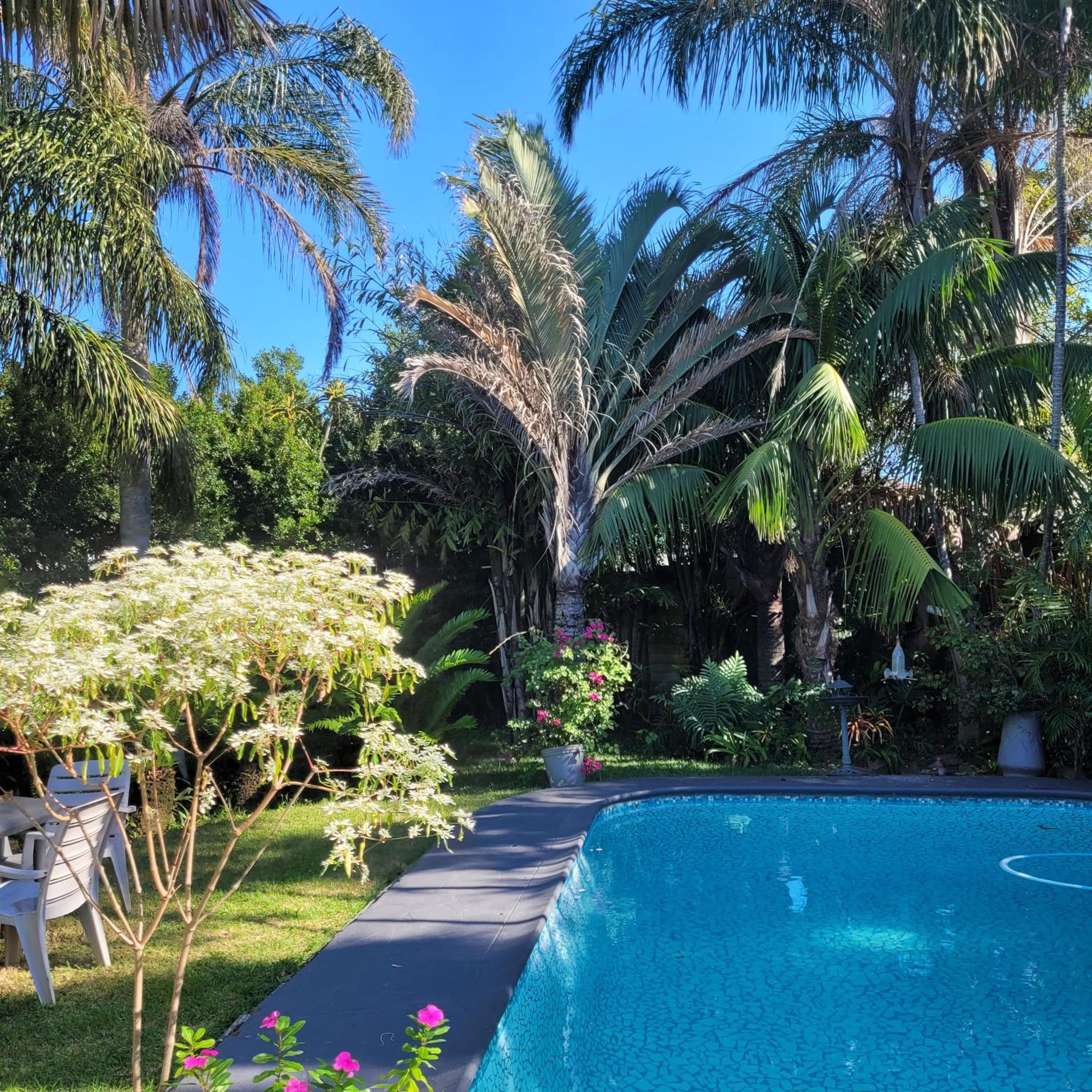 Kennington Palms 12/16
