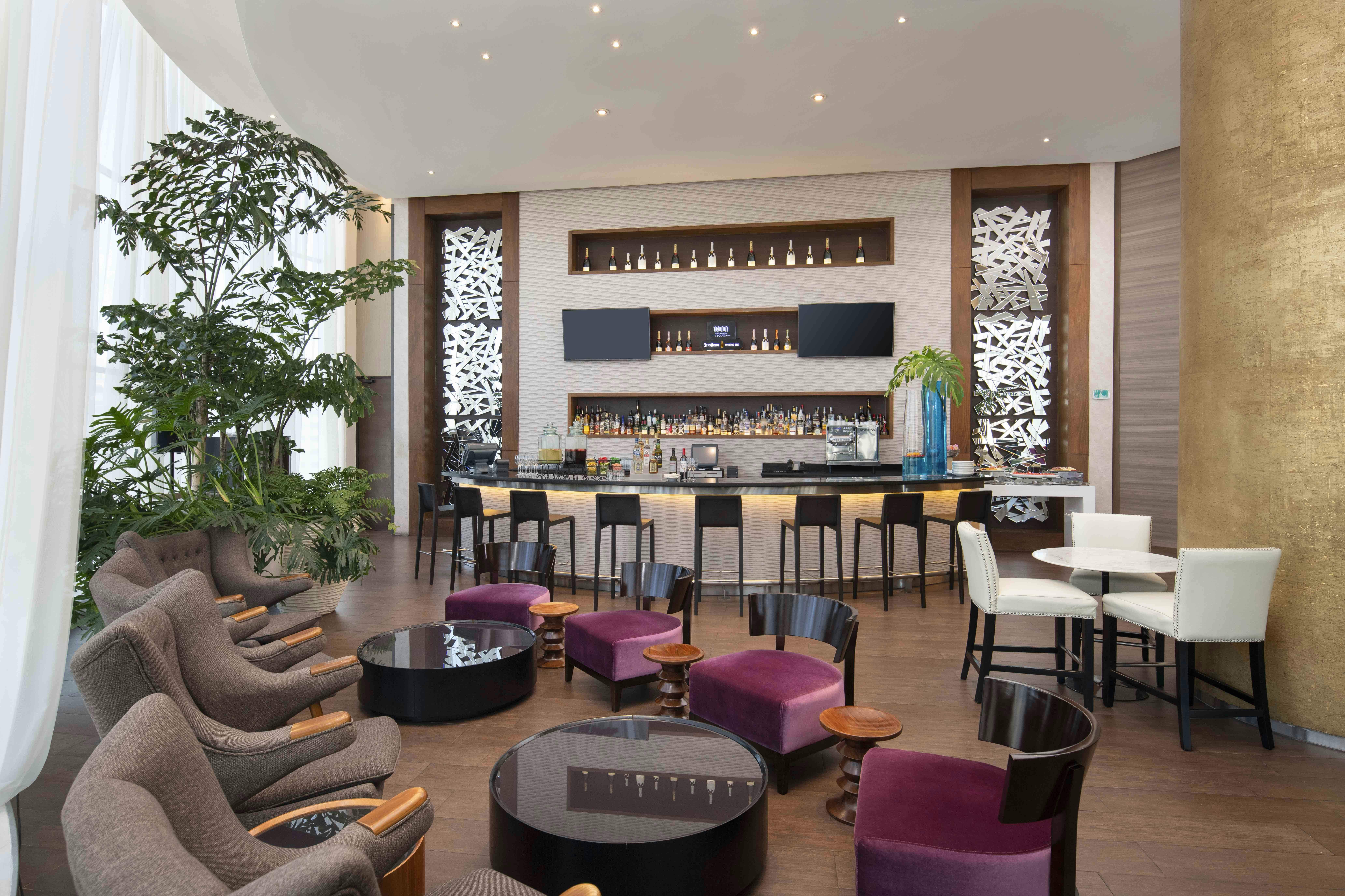 Embassy Suites By Hilton Santo Domingo 32/50