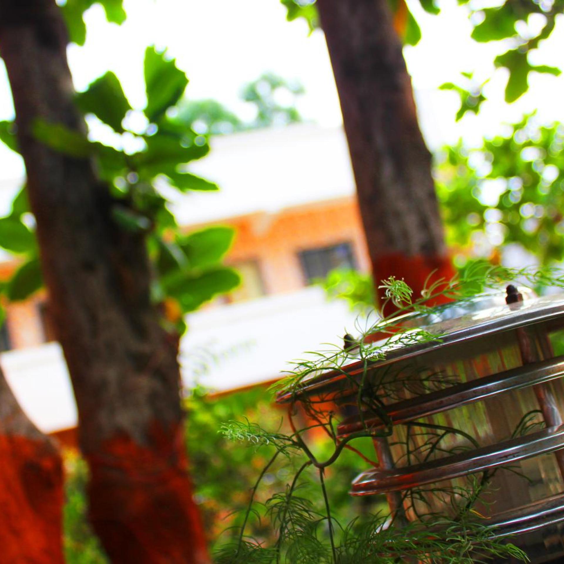 Sai Atithi Resort 47/50