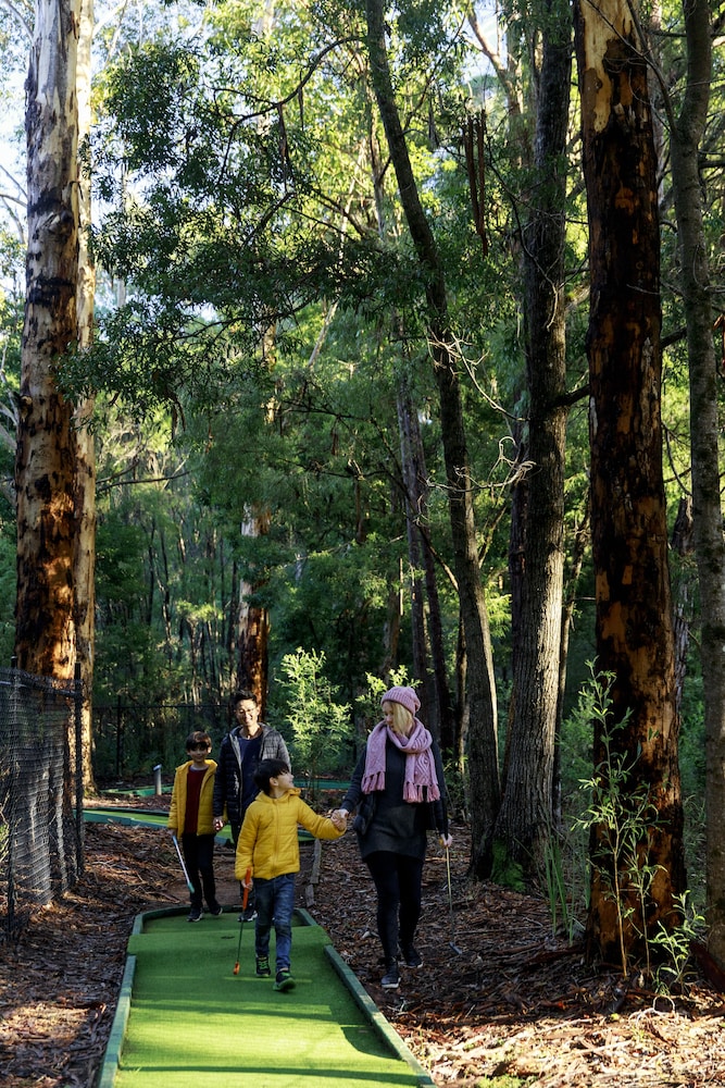 Karri Valley Resort 41/50