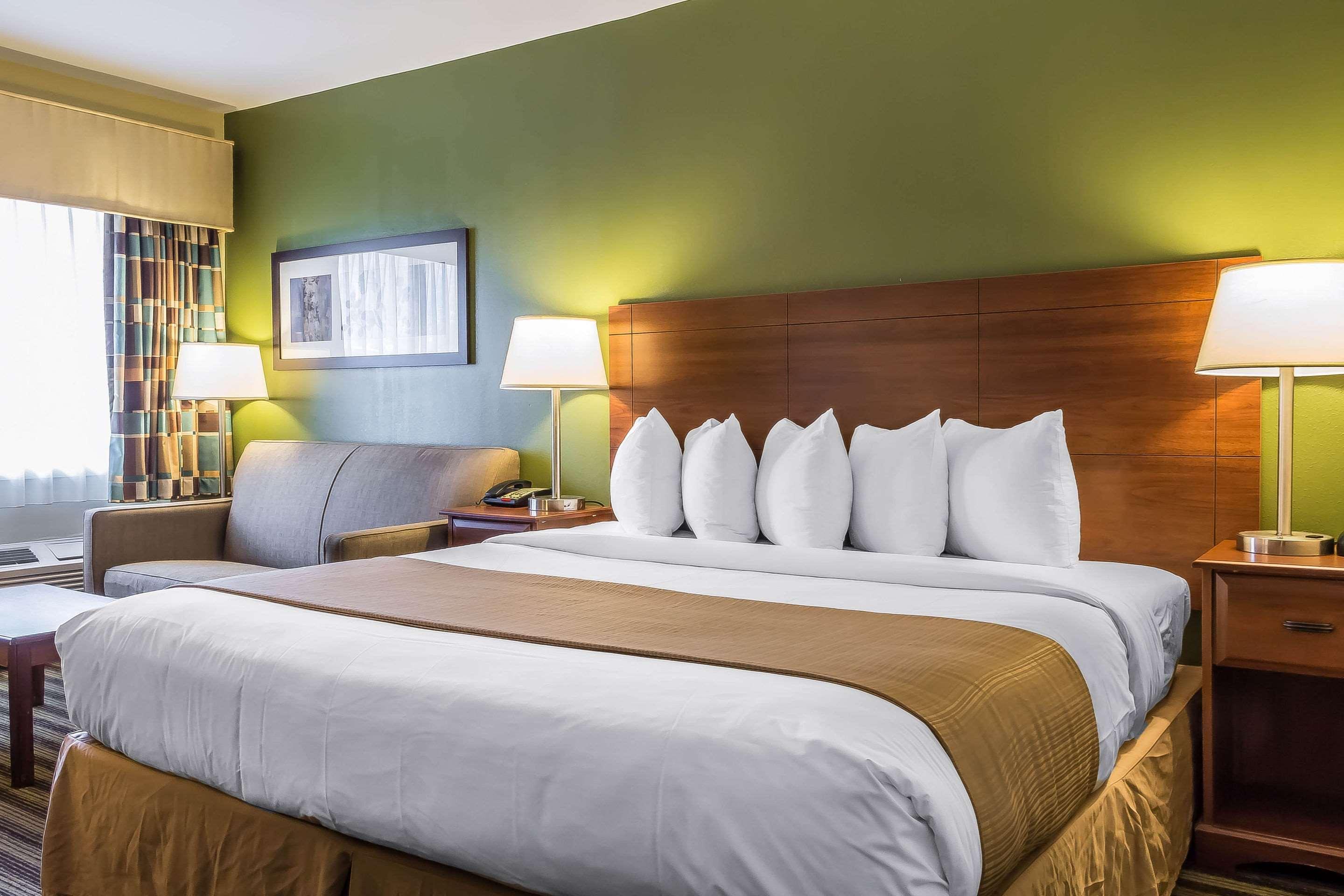 SUITE, KING BED