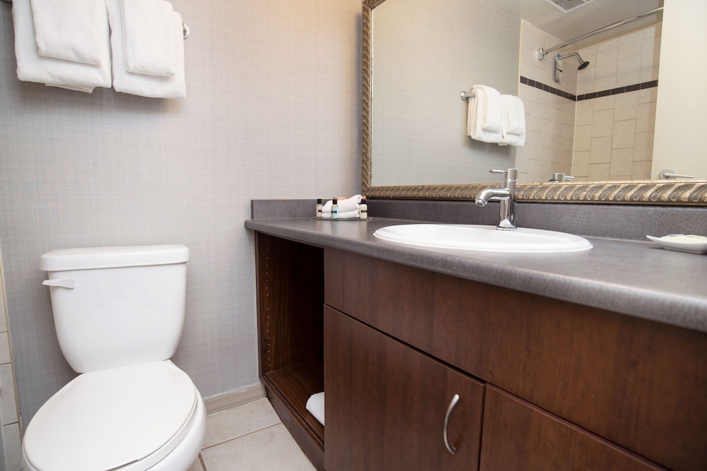 Sandman Suites Vancouver Davie Street 11/43