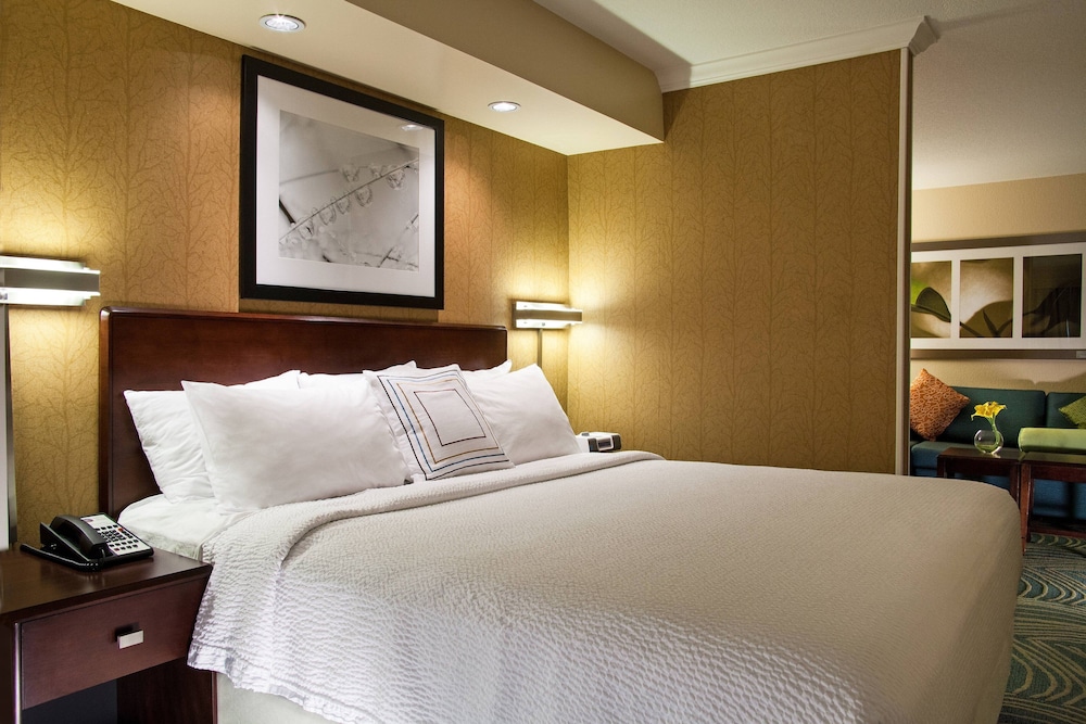 Springhill Suites By Marriott 17/46