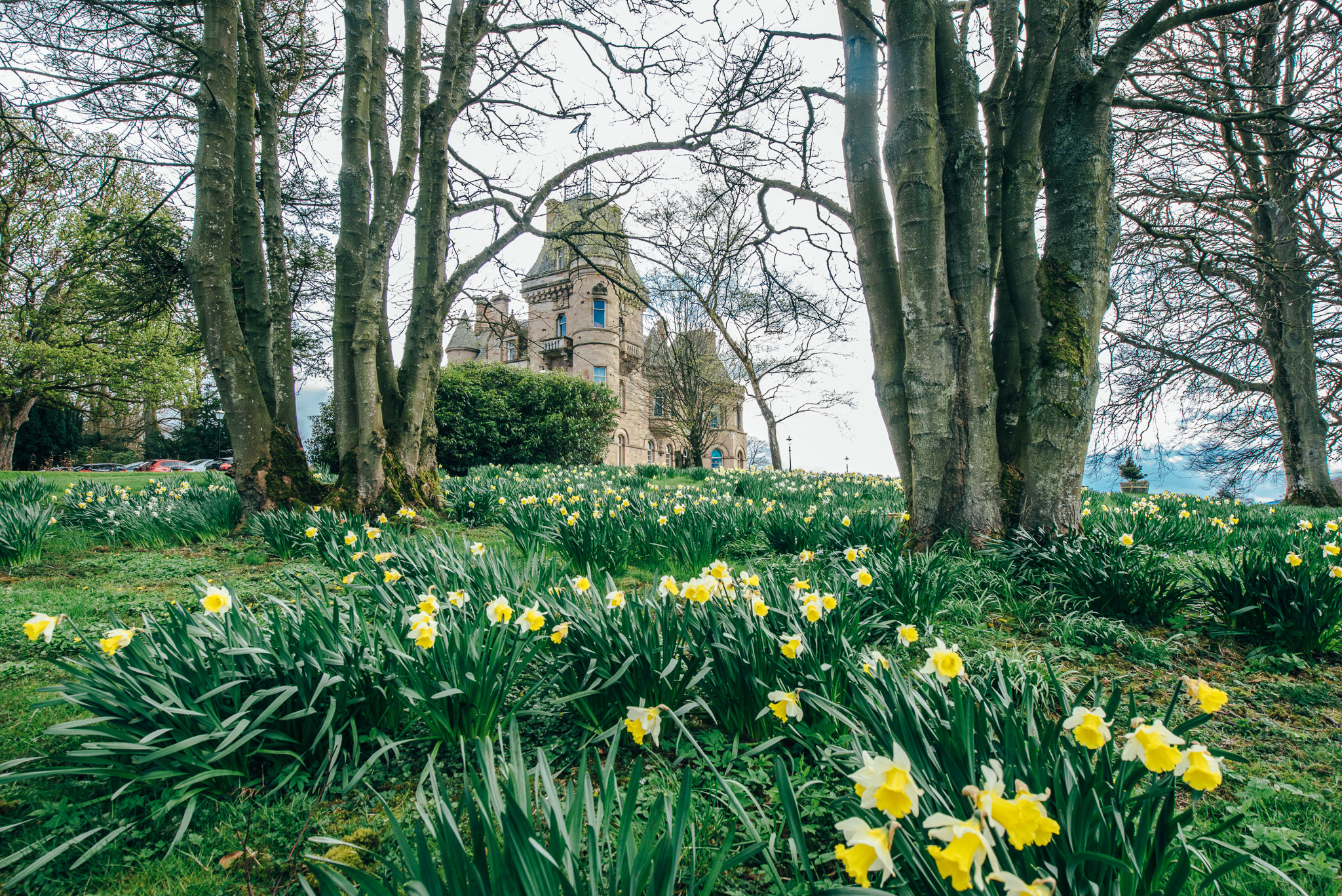 Cornhill Castle 42/52
