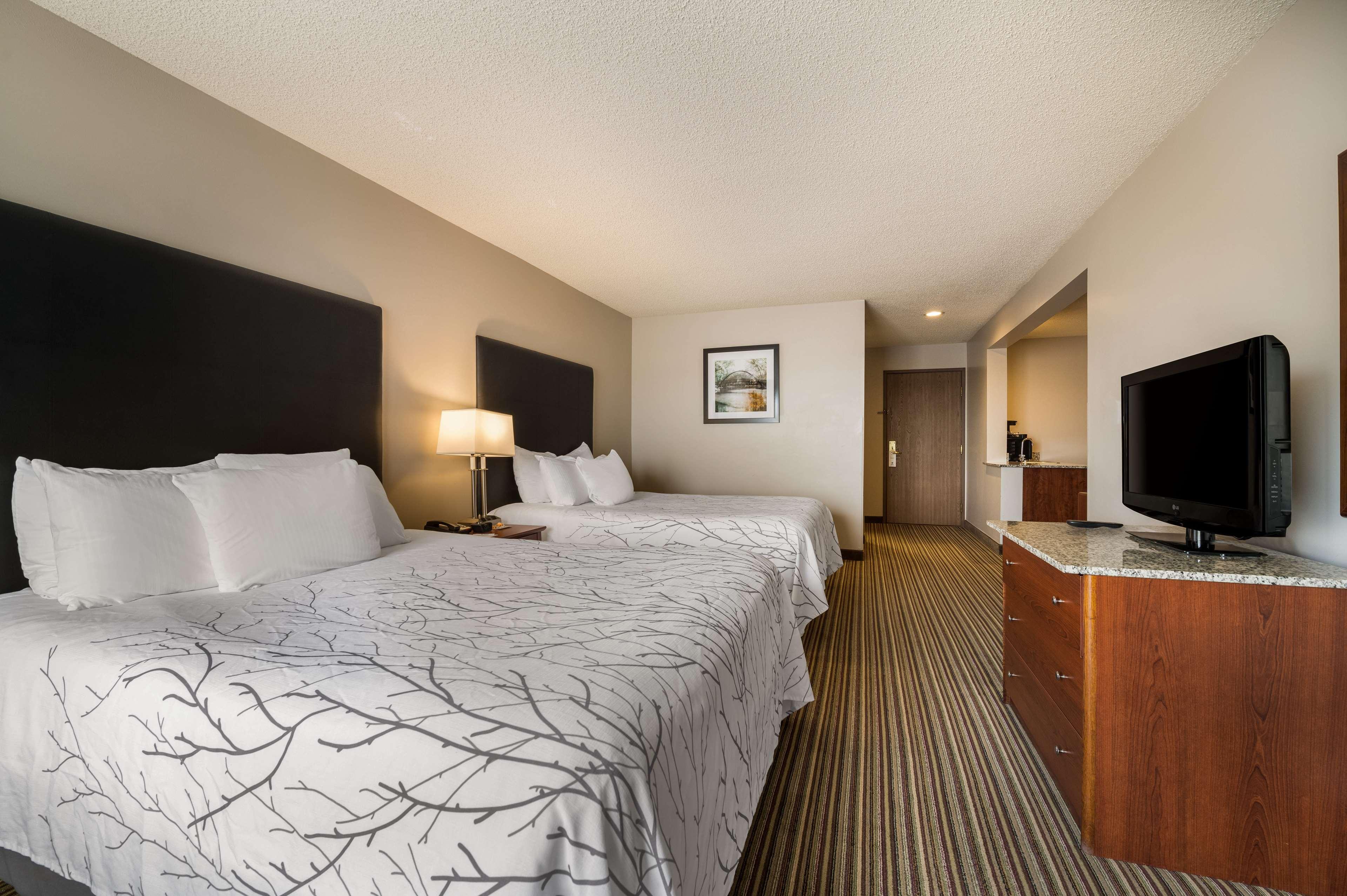 Suite, 2 Queen Beds, Sofa, Kitchen