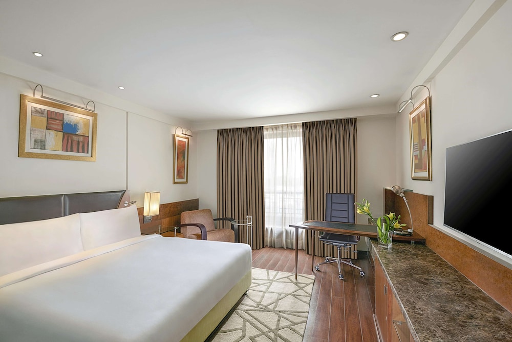 Radisson Blu Plaza Hotel Delhi Airport 25/76