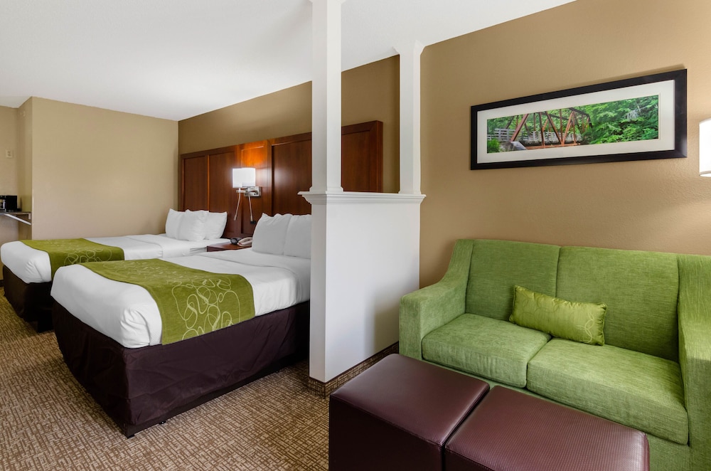 Comfort Suites Abingdon 10/40