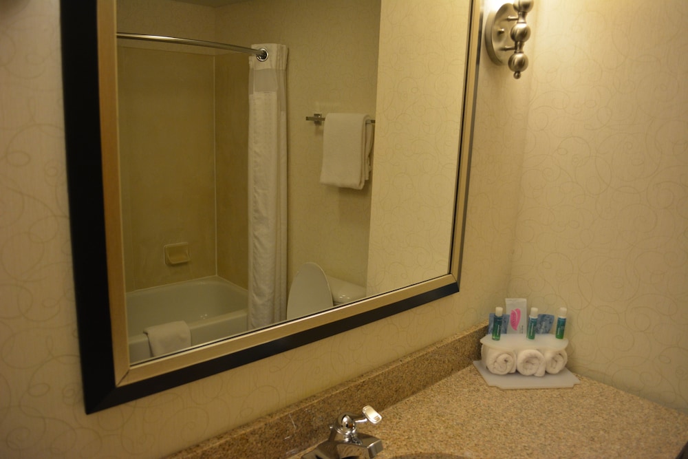 Holiday Inn Express Hotel And Suites Lancaster 29/72
