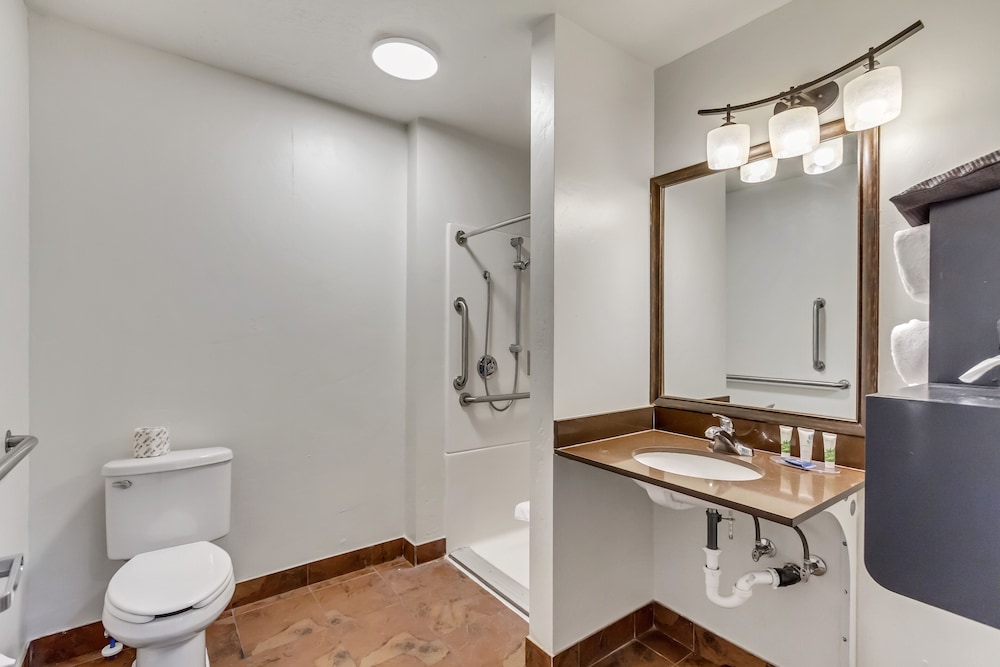 جناح بسرير كينج بغرفة نوم واحدة مع أريكة، Park Inn By Radisson Salt Lake City Midvale 7/8