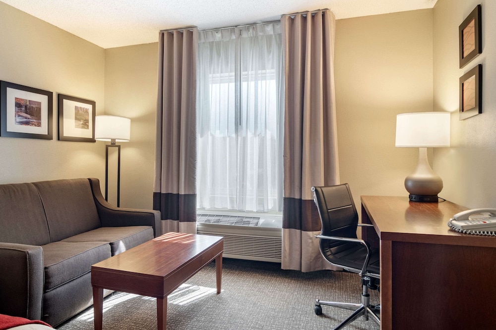 Comfort Inn Suites Suwanee Sugarloaf 23/36