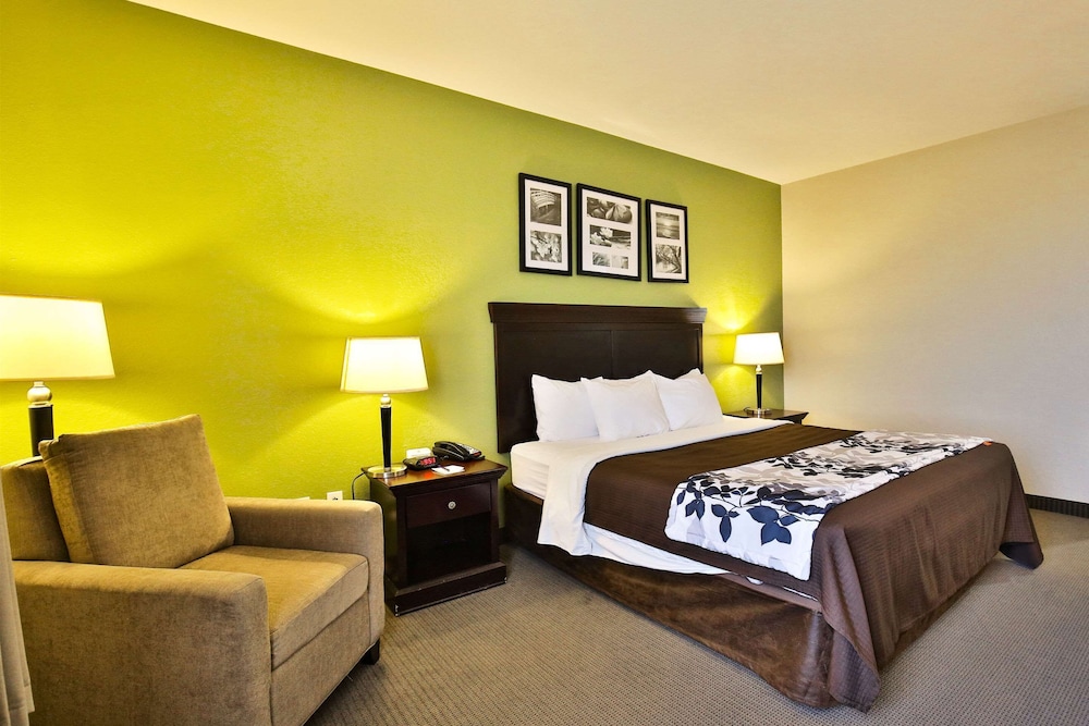 ROOM, KING BED, ACCESSIBLE