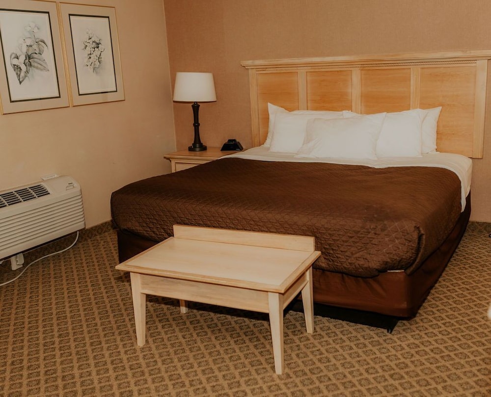 Hospitality, Deluxe, Suite, King Bed, Sofa