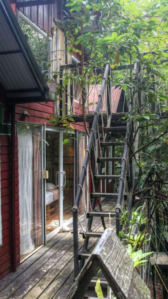 Khao Sok Tree House 44/50