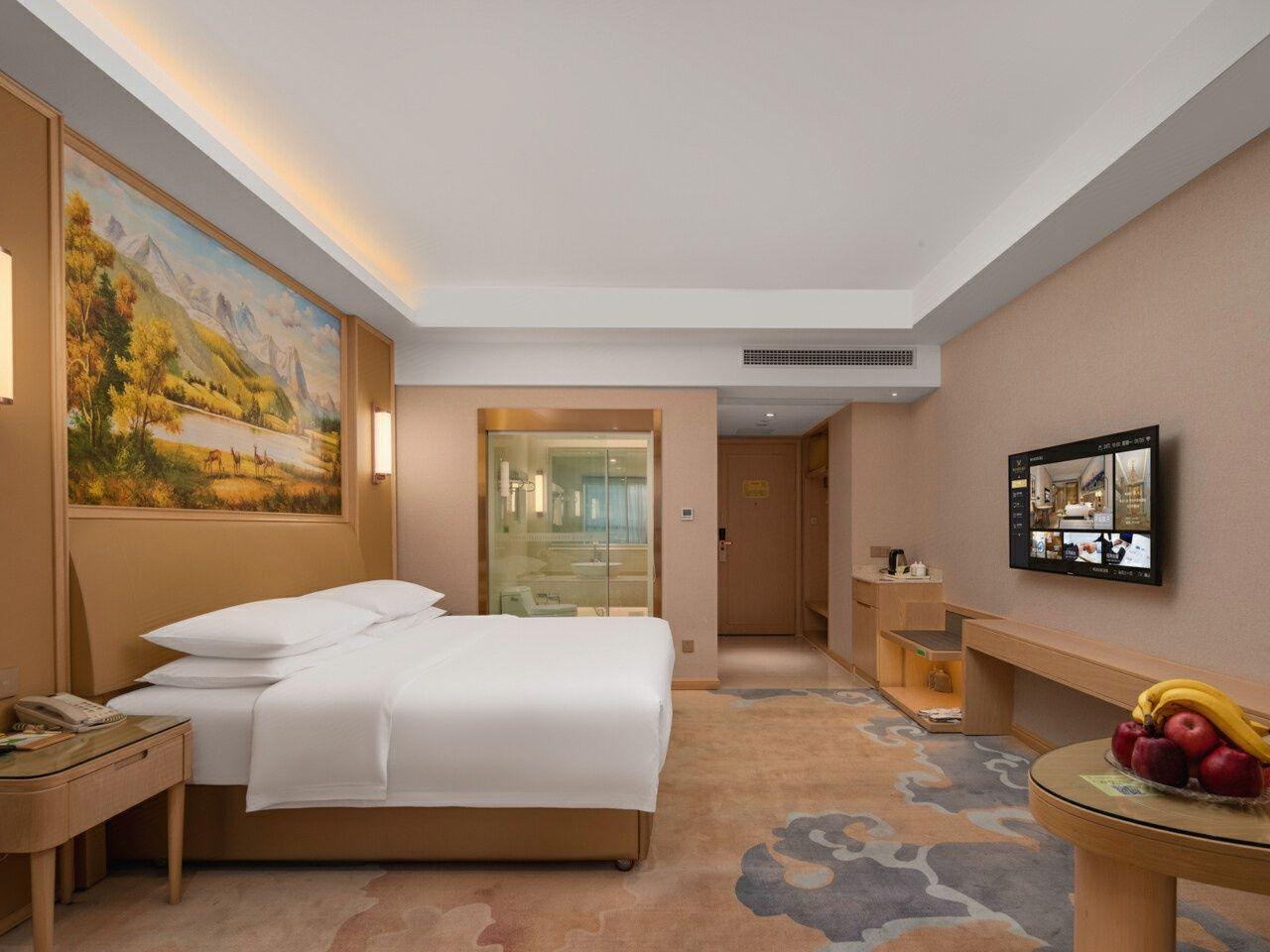 Vienna International Hotel (Guangzhou North Railway Station Branch) 15/35