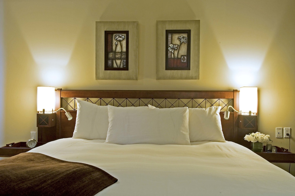 Hotel Nelligan 18/56