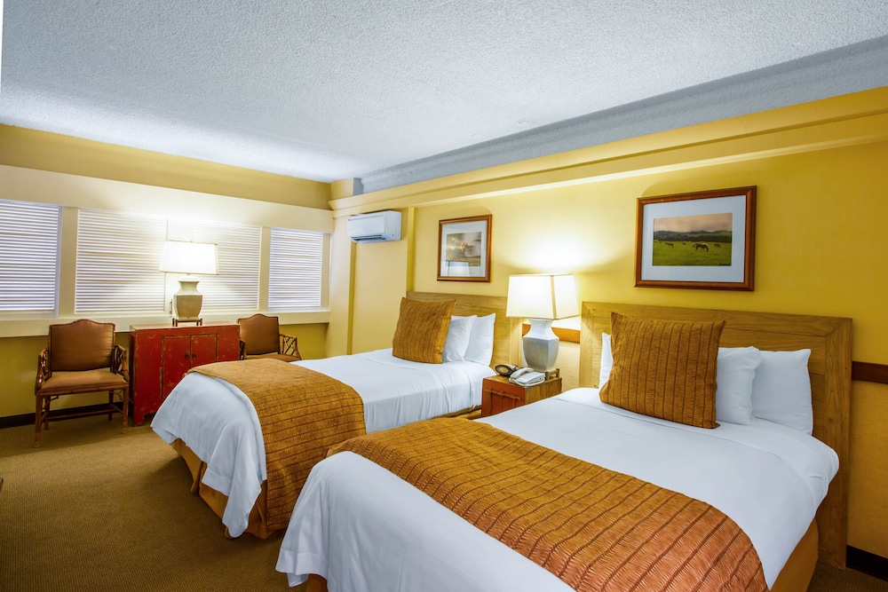 DELUXE, 2 DOUBLE BEDS, CITY VIEW
