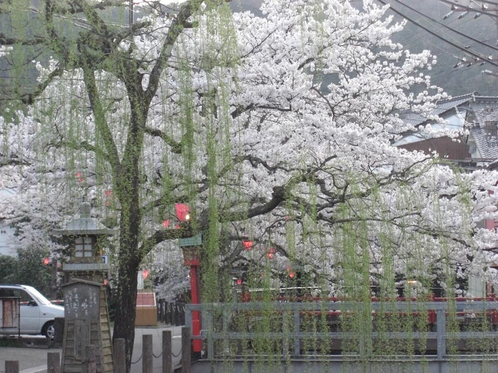 Matsuya 13/34