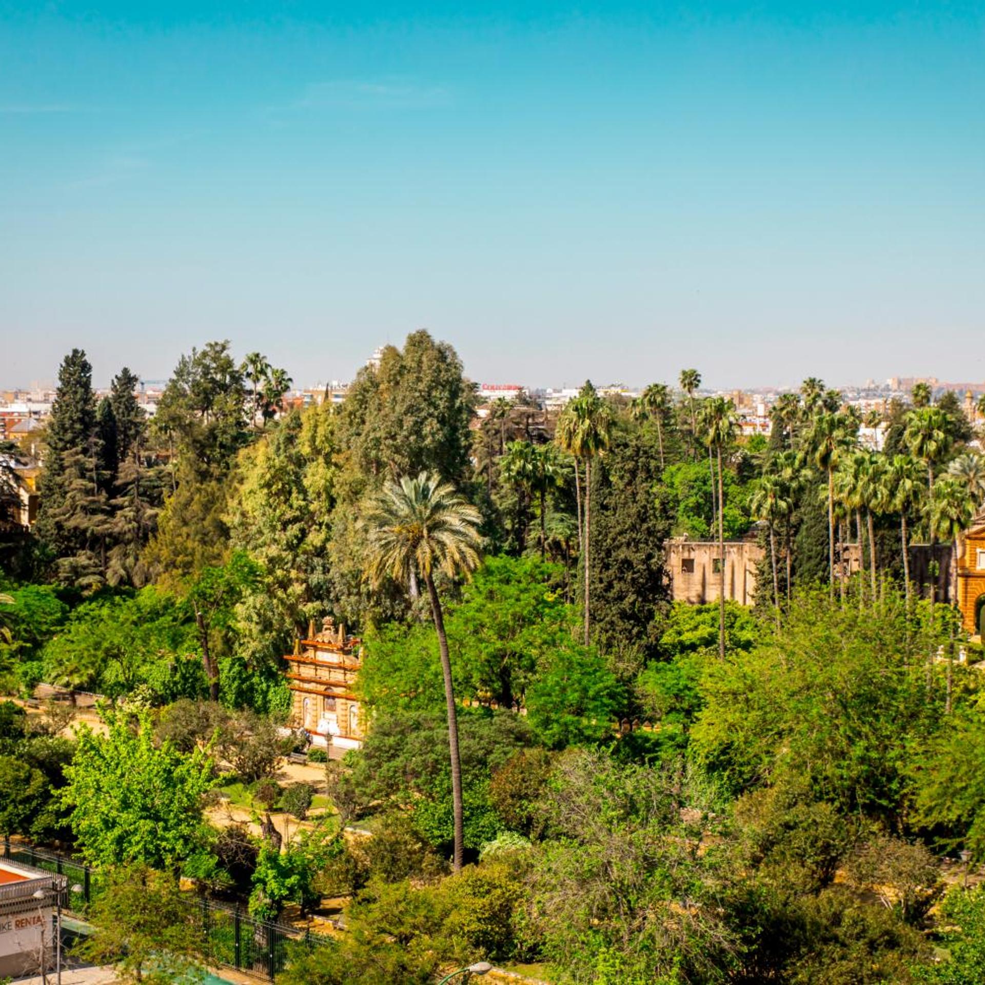 Hotel Alcazar Seville 49/55