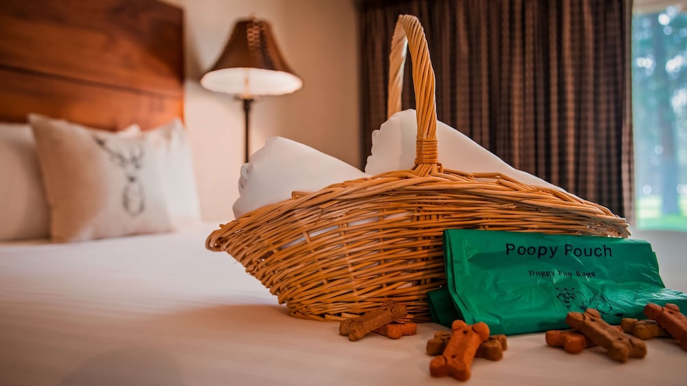 BEST WESTERN PONDEROSA LODGE 18/41