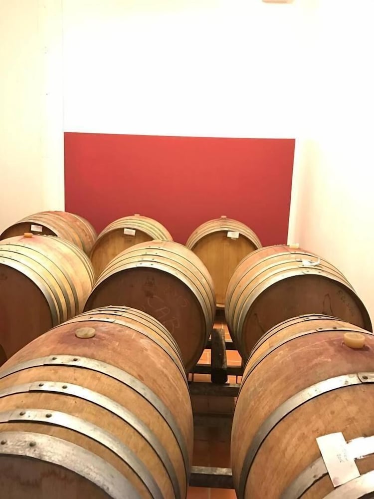 La Canonica 18/44