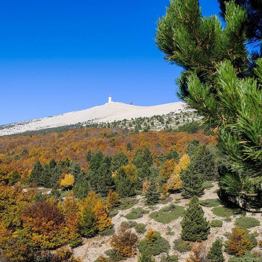 Residence Les Demeures du Ventoux - Vacanceole 34/49