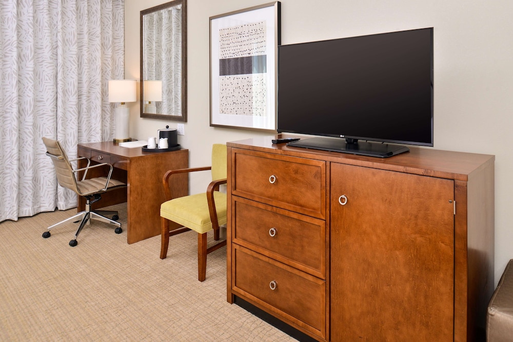 Hampton Inn Suites Orlando Downtown South Medical Center 43/46