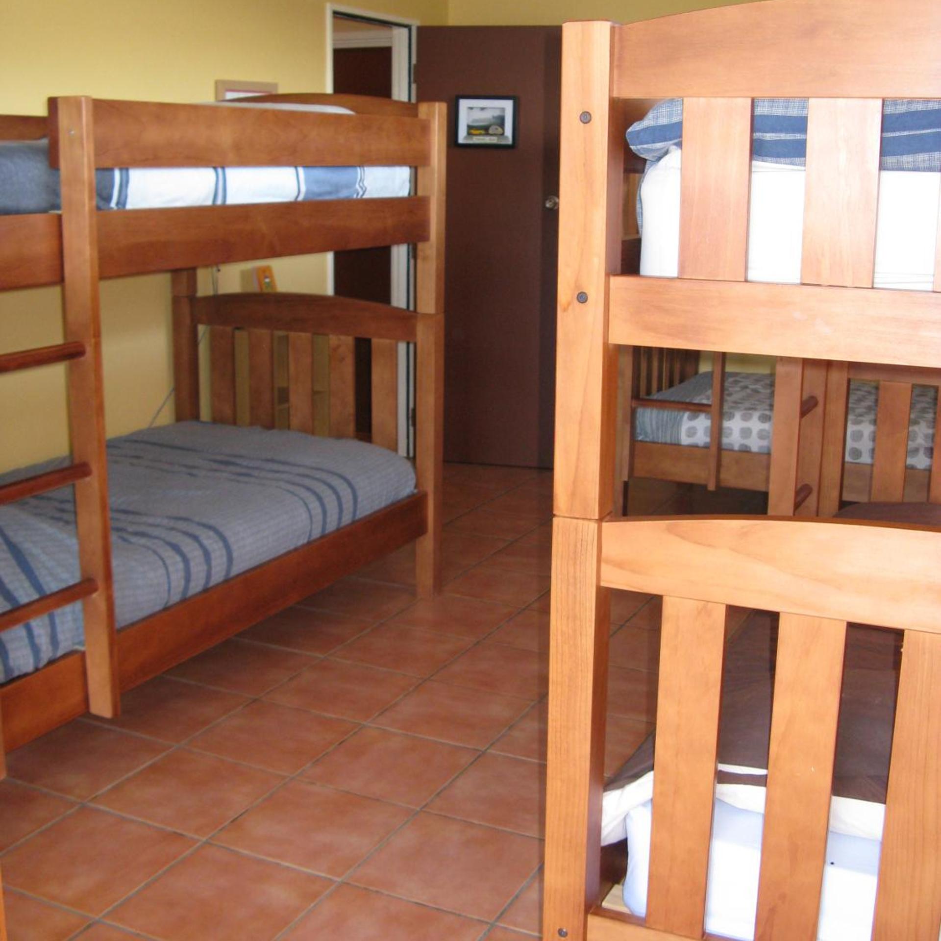 The Bug Backpackers Hostel 19/50