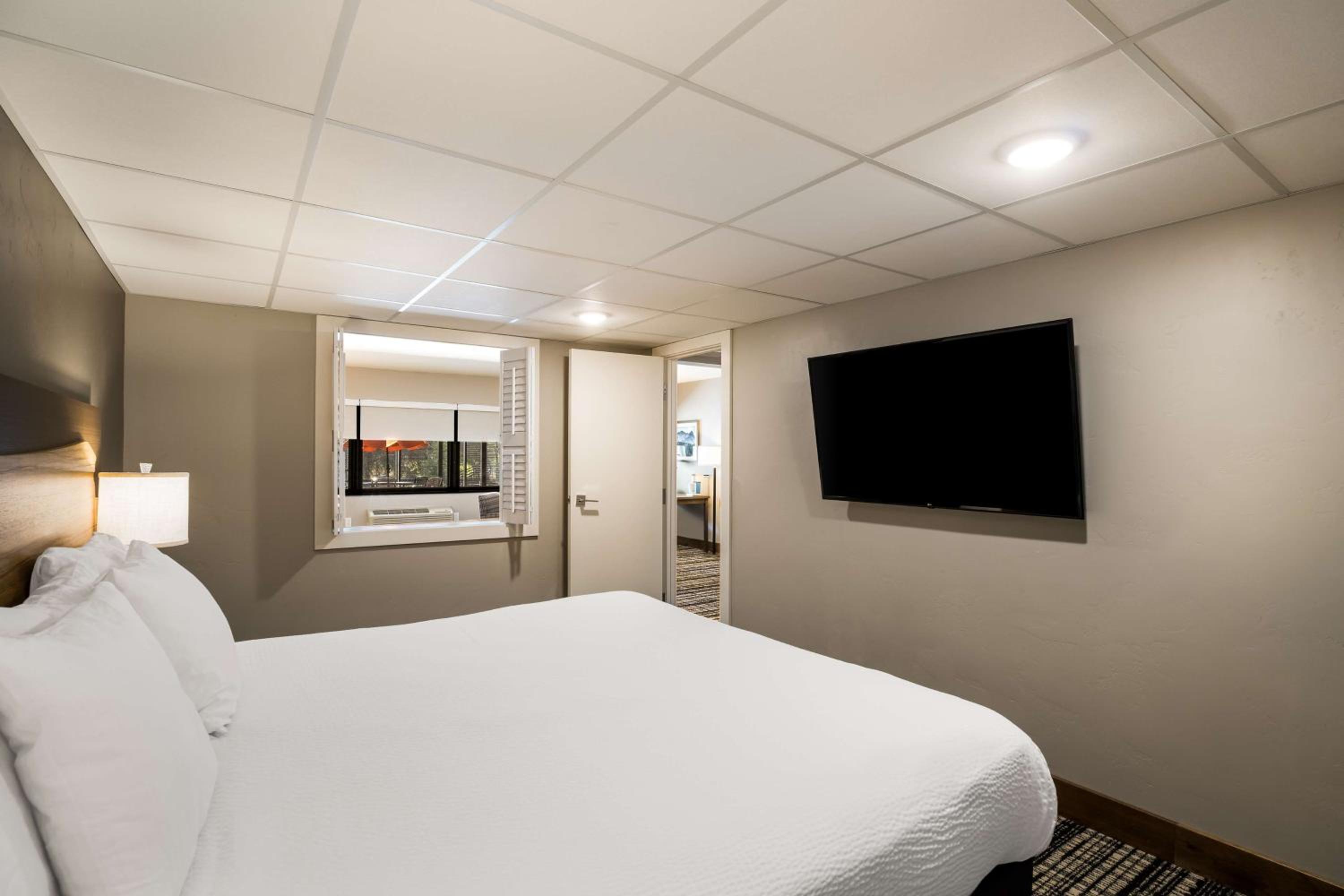 Suite, King Bed, Sofa