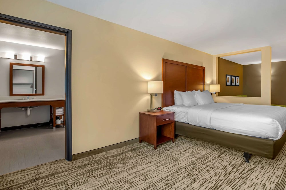 Comfort Inn and Suites Ames Near ISU Campus 16/41