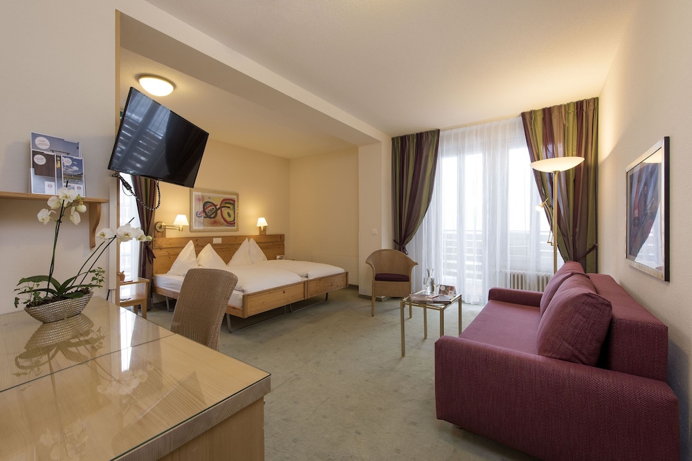 Alpine Hotel Wengen 33/59