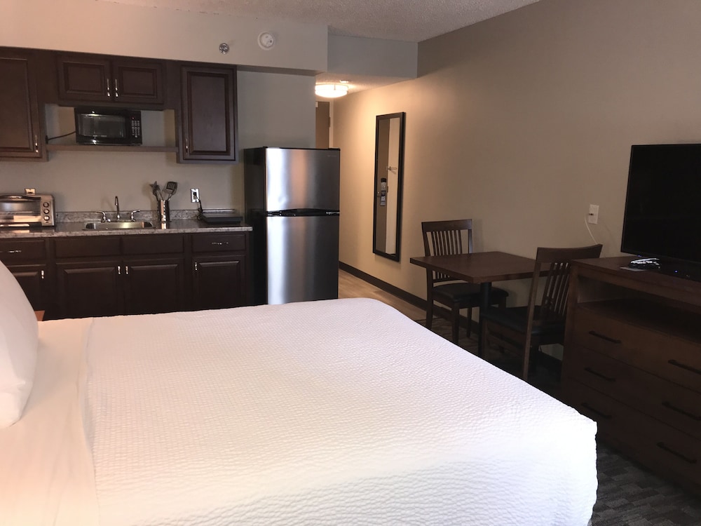 Suite, King Bed