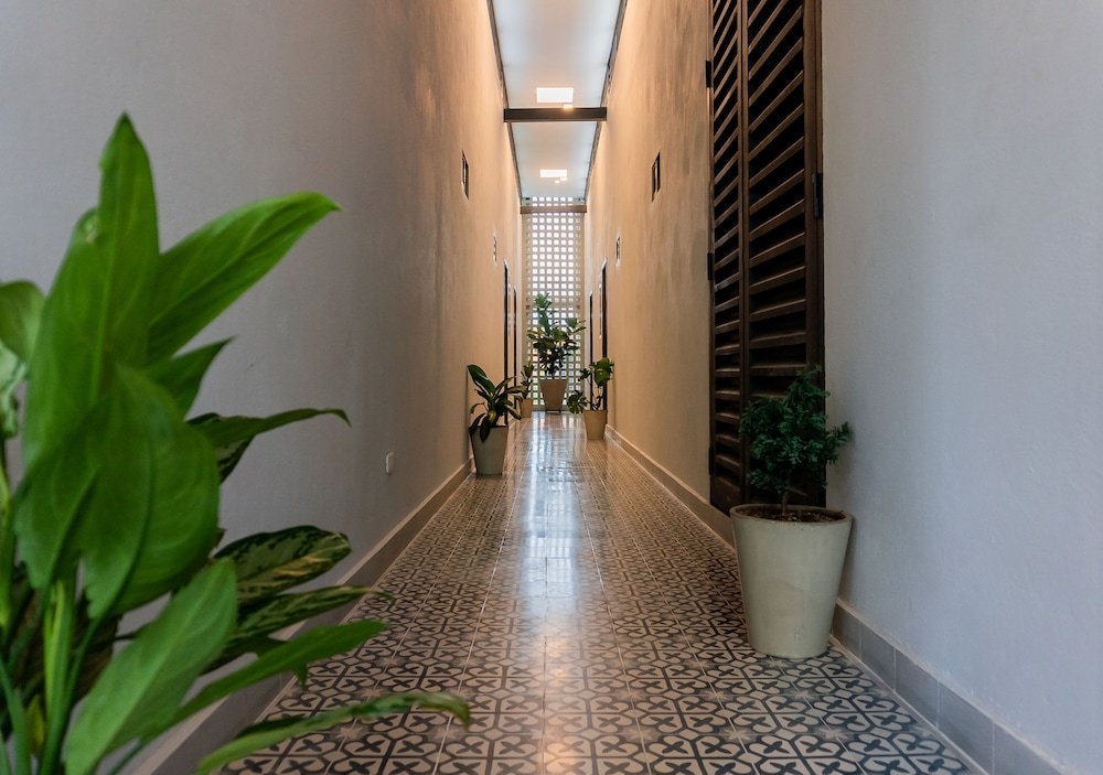 The Garden by DOT Suites 43/50