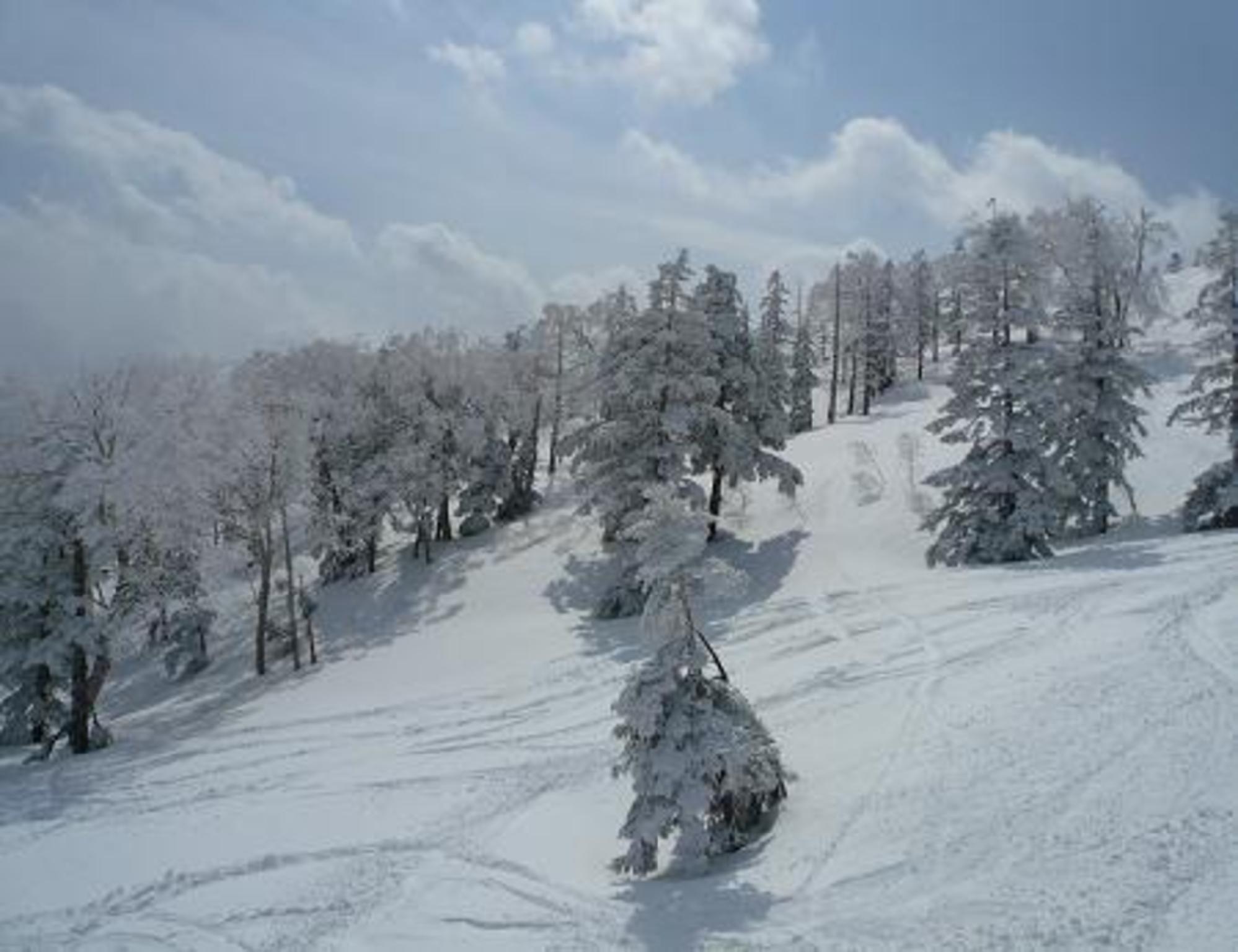 Yuzawa Ski House 32/39