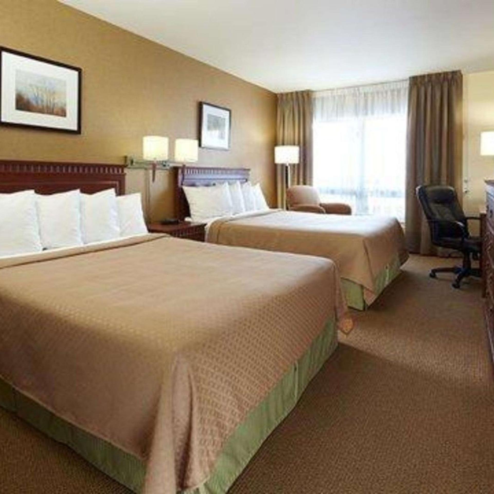Suite, King Bed, 2 Queen Beds
