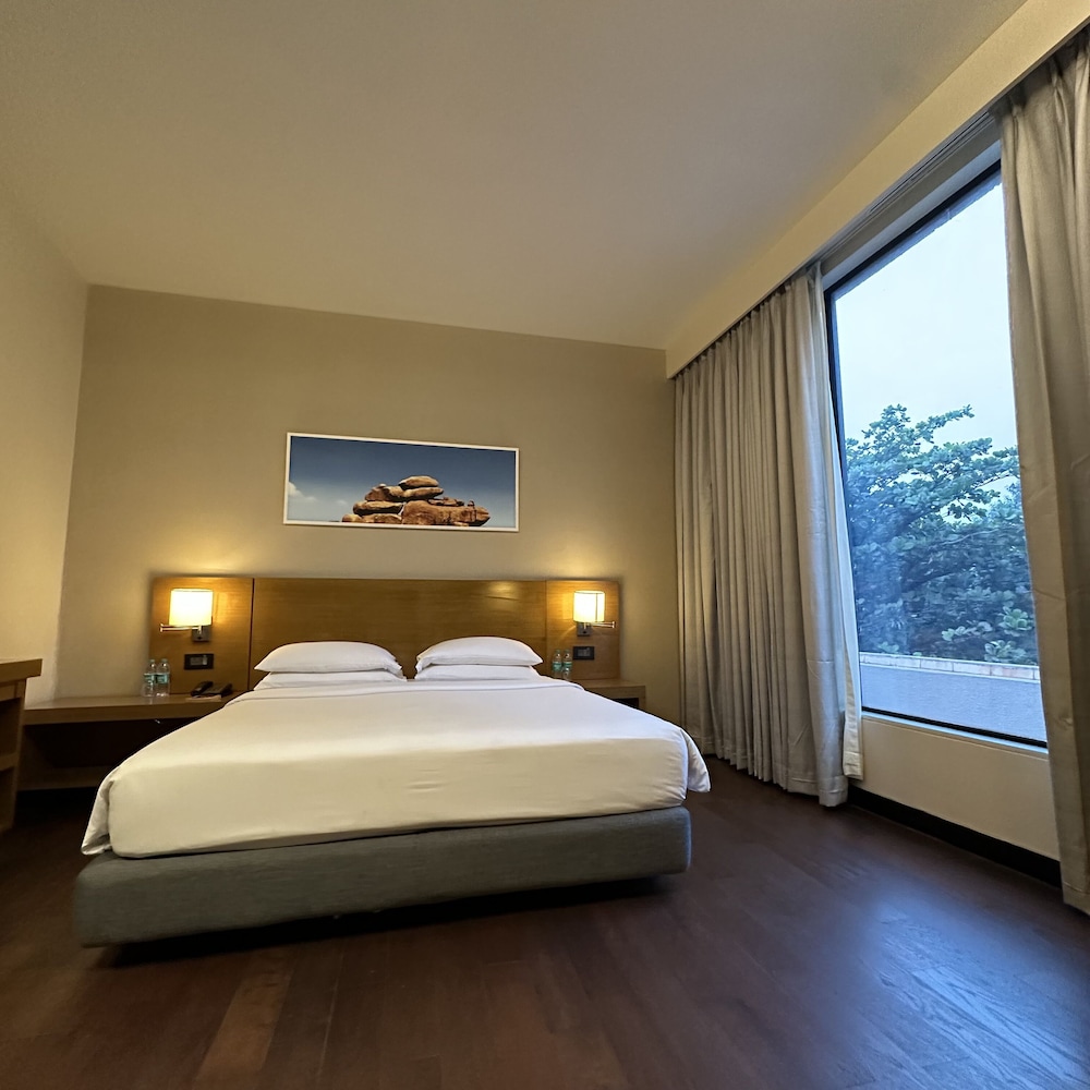 HYATT PLACE HAMPI 20/78