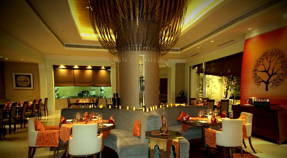 Radisson Blu Bengaluru Outer Ring Road (ex Park Plaza Bengaluru Hotel) 59/74