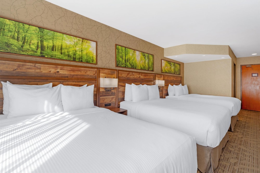 Standard, 3 Queen Beds