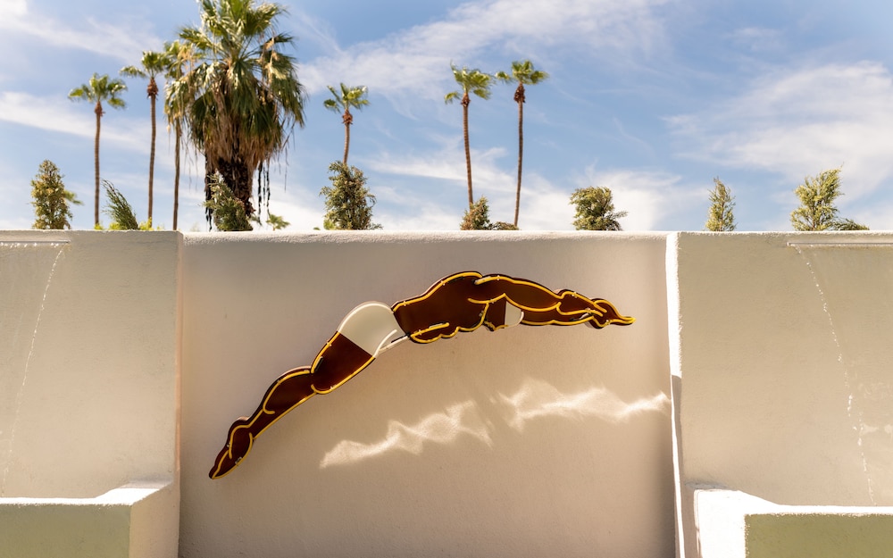 Dive Palm Springs 20/50