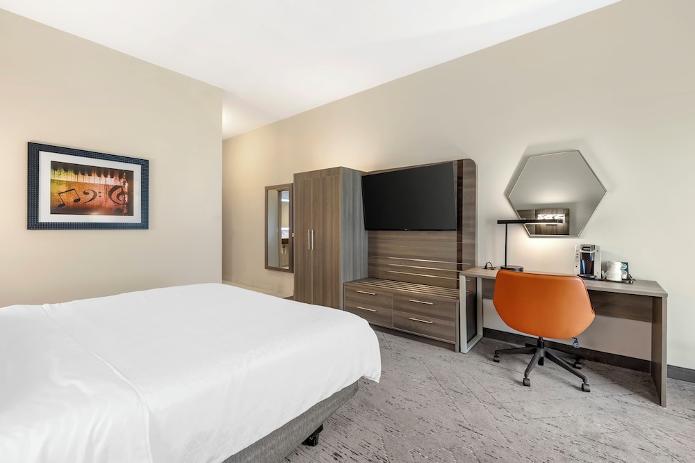 Standard, King Bed, Accessible, Holiday Inn Express & Suites NASHVILLE SOUTHEAST - ANTIOCH 8/9