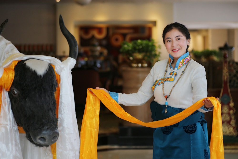 Tibet Hotel Chengdu 6/50