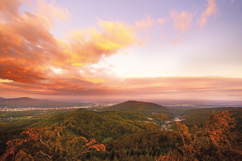 Schwarzwald Panorama 43/50