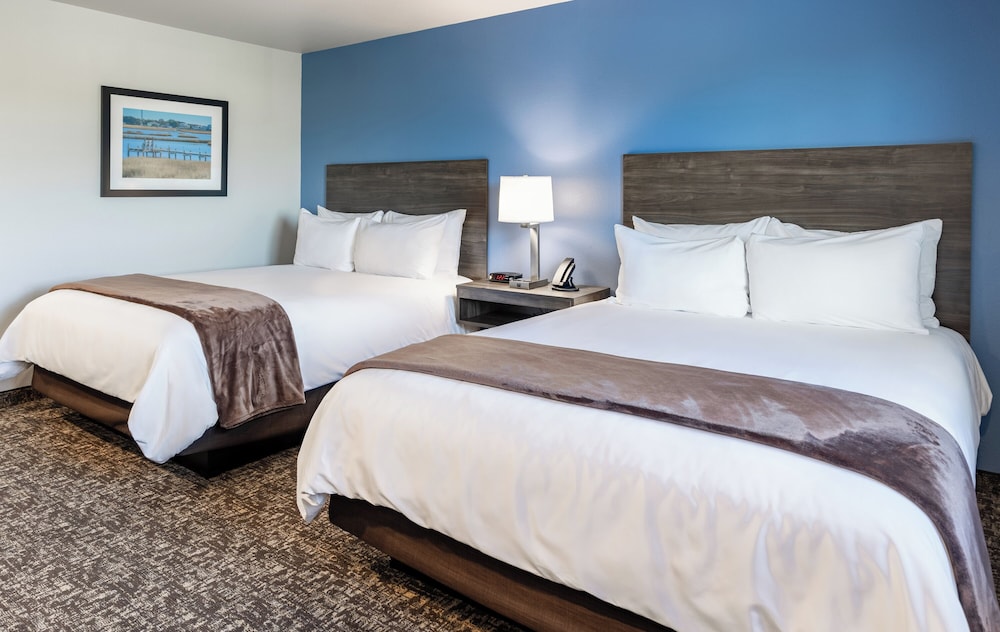 Sonesta Simply Suites Avondale 13/47