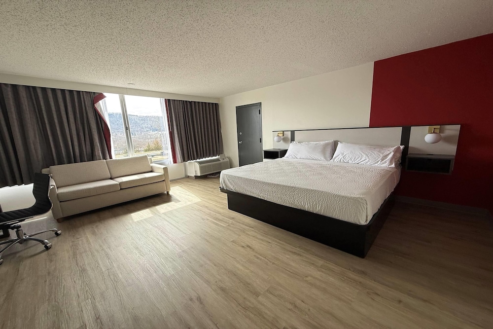 Suite, King Bed